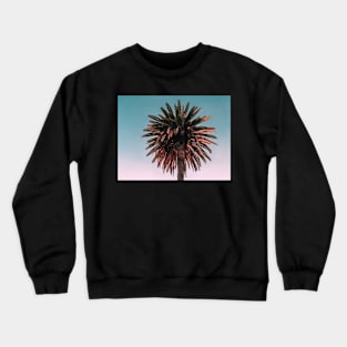 Palm trees, Tropical landscape palms, Sky, Nature print Crewneck Sweatshirt